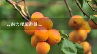 云南大理旅游景点