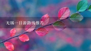 无锡一日游路线推荐