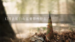 12月去长白山需要带些什么