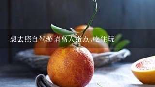 想去照自驾游请高人指点,吃住玩