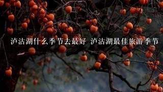 泸沽湖什么季节去最好 泸沽湖最佳旅游季节