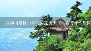 武功山景区山顶的帐篷满天飞，这是什么原因造成的？