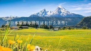 去日本旅游办理签证有什么条件？