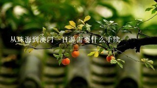 从珠海到澳门一日游需要什么手续