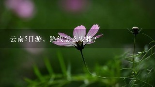 云南5日游，路线怎么安排？