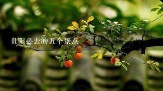 贵阳必去的五个景点