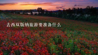 去西双版纳旅游要准备什么