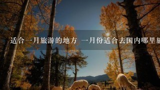 适合一月旅游的地方 一月份适合去国内哪里旅游