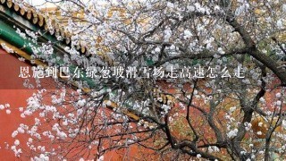 恩施到巴东绿葱坡滑雪场走高速怎么走