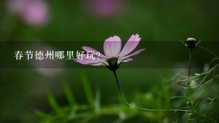 春节德州哪里好玩？