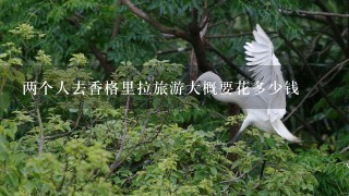 两个人去香格里拉旅游大概要花多少钱