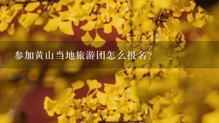 参加黄山当地旅游团怎么报名？