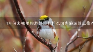 4月份去哪里旅游好，有什么国内旅游景点推荐不？