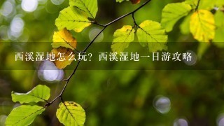 西溪湿地怎么玩？西溪湿地一日游攻略