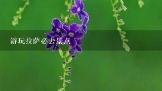 游玩拉萨必去景点