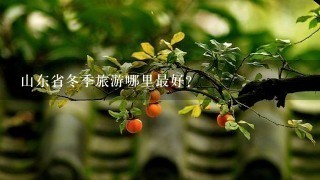 山东省冬季旅游哪里最好?