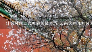 什么时候去大理旅游最合适 云南大理几月份去合适