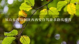 从山东潍坊到陕西西安自驾游求路线推荐