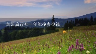 加盟旅行社1年能挣多少钱