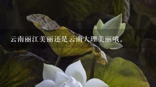 云南丽江美丽还是云南大理美丽哦。