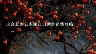 求合肥到云南丽江自助游路线攻略。