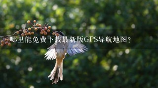 哪里能免费下载最新版GPS导航地图？