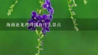 海南亚龙湾周围有什么景点