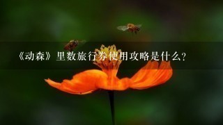 《动森》里数旅行券使用攻略是什么?