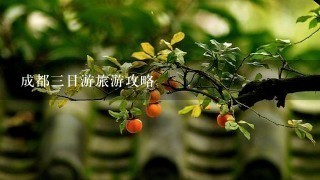 成都3日游旅游攻略