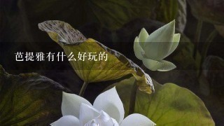 芭提雅有什么好玩的