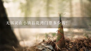 无锡灵山小镇拈花湾门票多少钱？