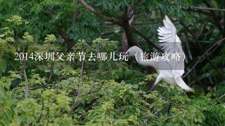 2014深圳父亲节去哪儿玩（旅游攻略）