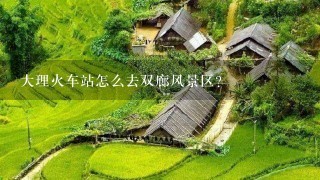 大理火车站怎么去双廊风景区？