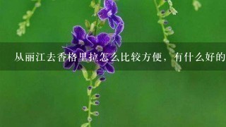 从丽江去香格里拉怎么比较方便，有什么好的攻略吗