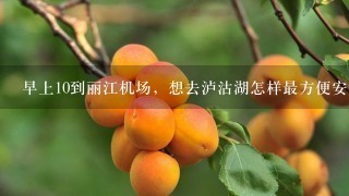 早上10到丽江机场，想去泸沽湖怎样最方便安全实惠