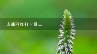 成都网红打卡景点