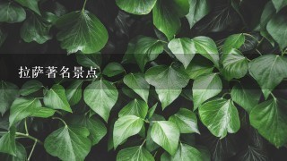 拉萨著名景点