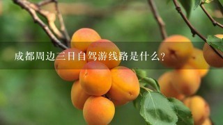 成都周边3日自驾游线路是什么？