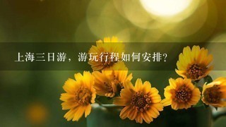 上海3日游，游玩行程如何安排？