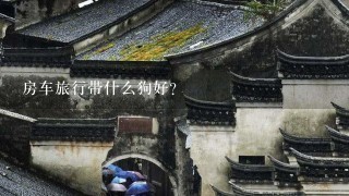 房车旅行带什么狗好？