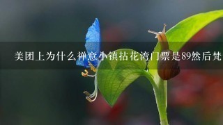 美团上为什么禅意小镇拈花湾门票是89然后梵天花海的