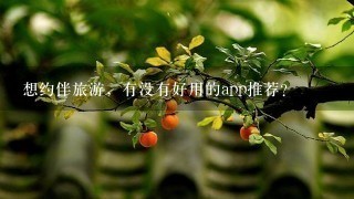 想约伴旅游，有没有好用的app推荐？