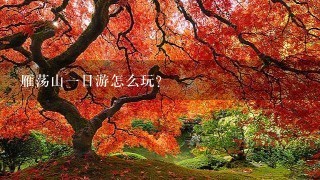 雁荡山1日游怎么玩？