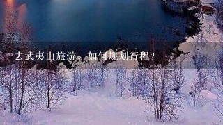 去武夷山旅游，如何规划行程？