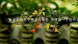 3亚必去的几个景点有什么 具体说1下这些景点