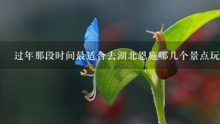 过年那段时间最适合去湖北恩施哪几个景点玩?