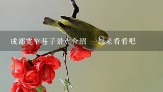 成都宽窄巷子景点介绍 1起来看看吧