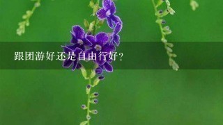 跟团游好还是自由行好？