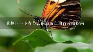 我想问1下春节云南旅游自由行攻略指南