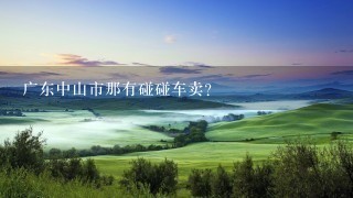 广东中山市那有碰碰车卖？